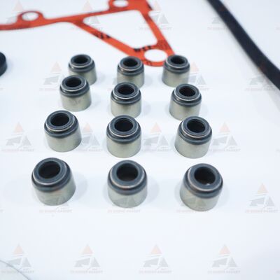 Doosan D2366/D2366T Overhaul Kit OE 65.06500-6125 for Doosan Excavator Engine Parts